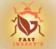 Fast Insects